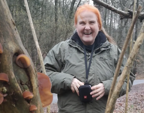 Bild Veronika
