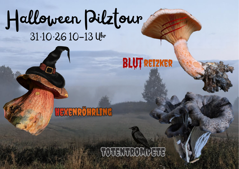 Pilze an Halloween mit Linus